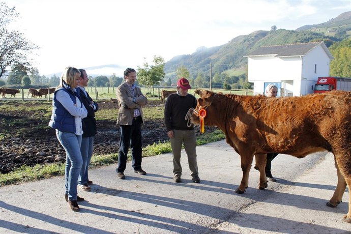 Visita ganadería premiada
