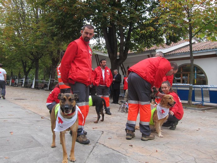 Equipo de perros de rescate, en la exposición de Cruz Roja.