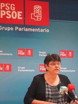 La Diputada Del Psdeg, Marisol Soneira