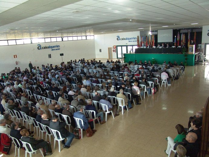 44 Asamblea De La FSMCV