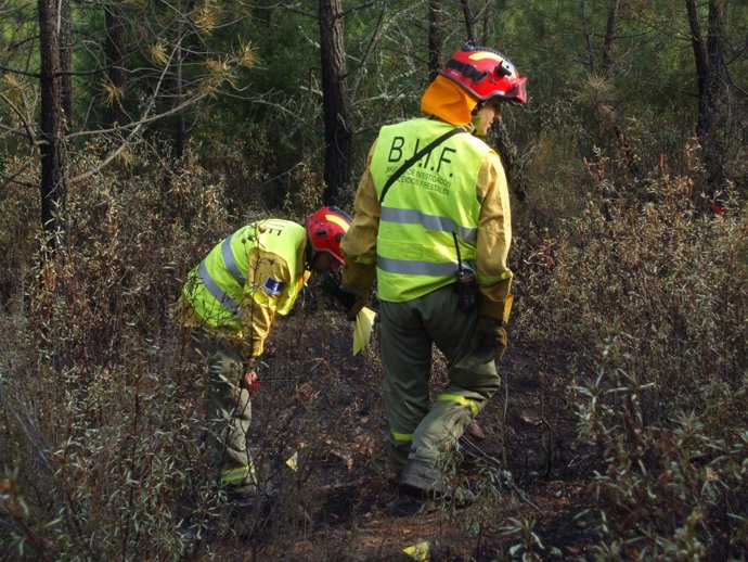 Agentes mediambientales, incencio
