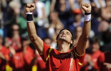 David Ferrer, Copa Davis