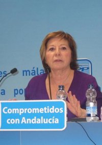 El PP critica que las enmiendas del PSOE de Málaga "demuestran poca solidaridad y desapego con la realidad"