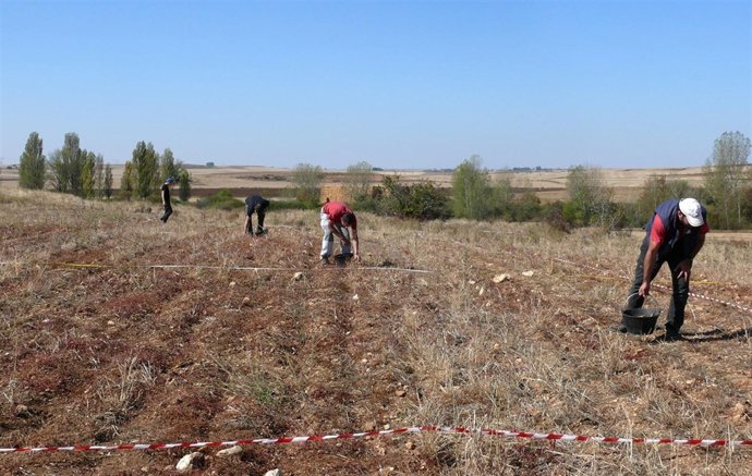 Trabajos de prospección