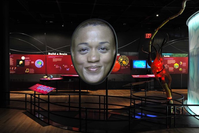 Exposición 'Cerebro. Viaje al cuerpo humano' en el Parque de las Ciencias