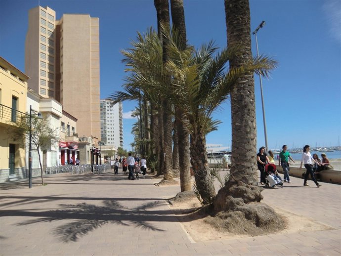 Paseo De Santiago De La Ribera (San Javier)