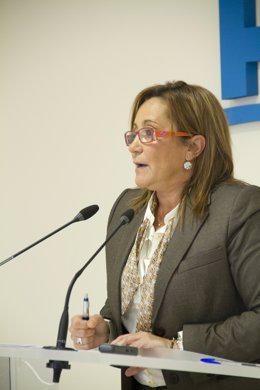 La vicepresidenta de la Diputación de Huelva, María Luisa Faneca.