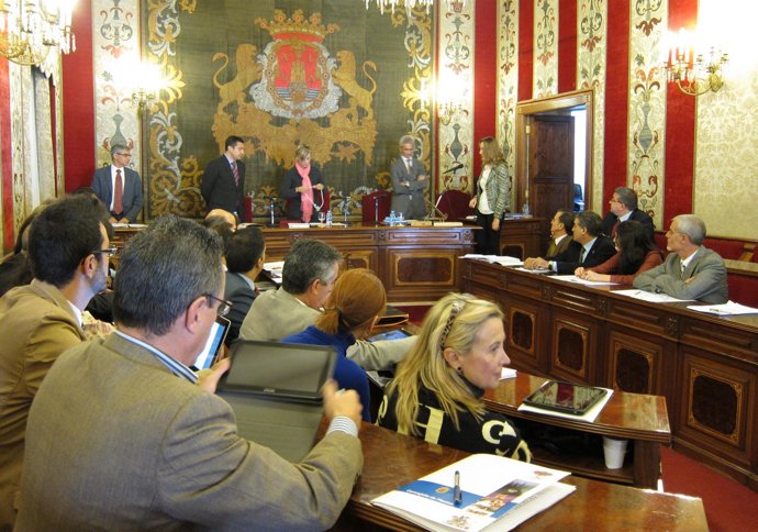 Pleno de Alicante del mes de octubre