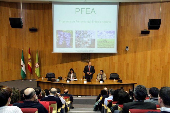 Jornada de Diputación sobre el PFEA