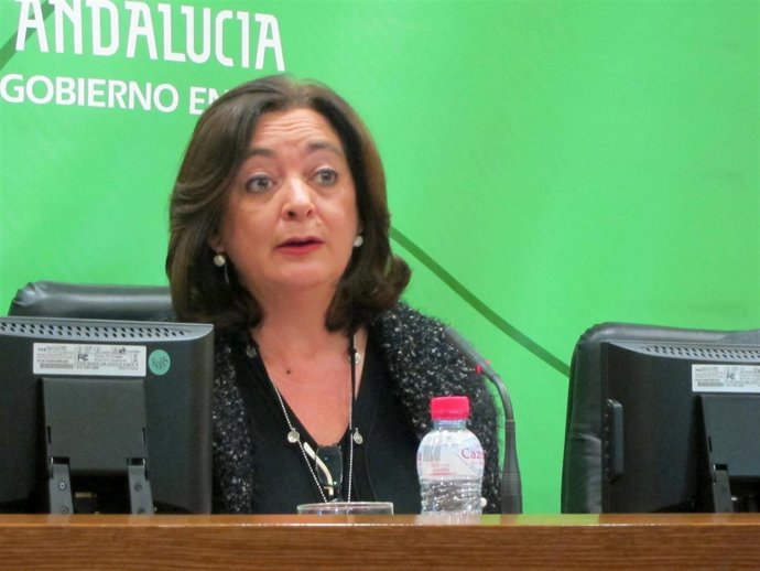 La consejera de Educación de Andalucía, Mar Moreno, en rueda de prensa.