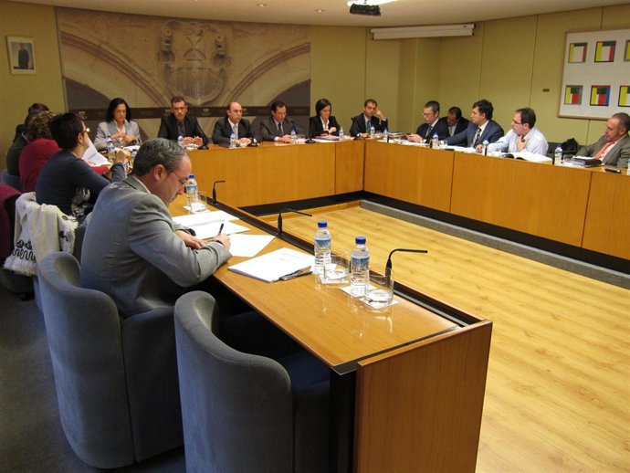 Comparecencia Erro en el Parlamento