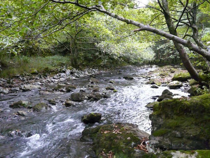 Río del País vasco.