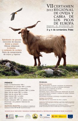 Cartel del VII Certamen Regional de Oveja y Cabra de los Picos de Europa
