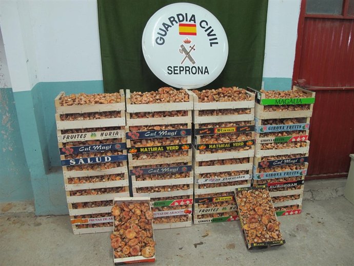 Incautación de setas