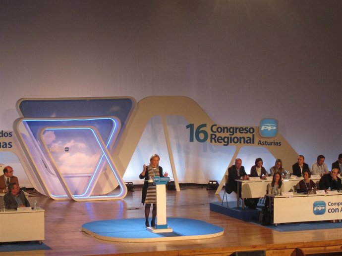 Mercedes Fernández interviene en el Congreso.