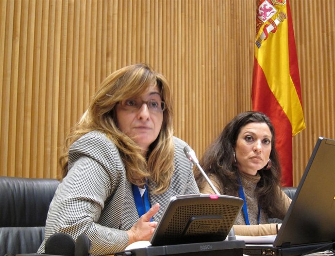 Rosa Arnaldo, presidenta de la CIAIAC, y María Jesús Guerrero, vocal y jurista