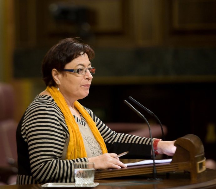 Olaia Fernández Davila, Diputada Del BNG