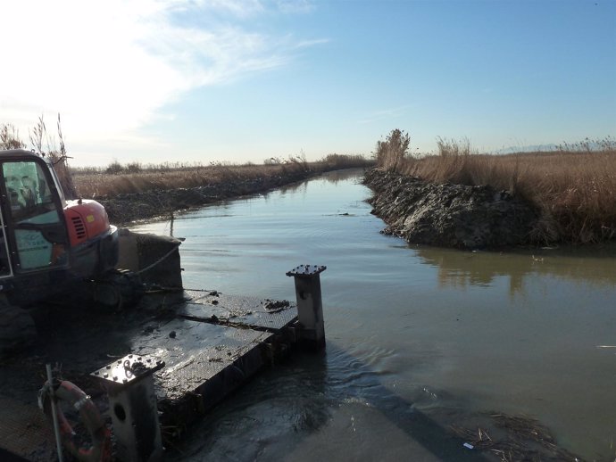 Acequia De L'albufera