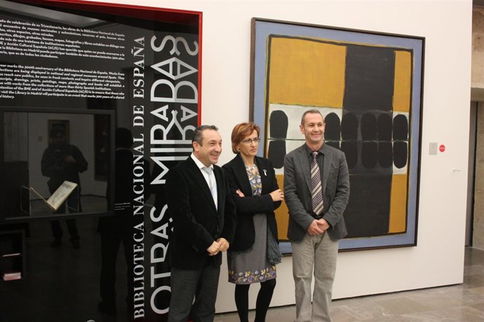 Nota Y Fotos Del Museo De Bellas Artes