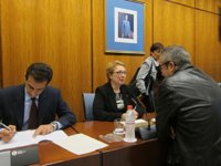 Junta ve "bien" que Gobierno prorrogue el FLA y podría acudir en 2013 "si el sector financiero no mejora y sigue igual"