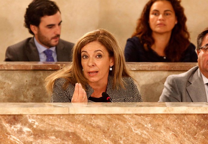 Lola de Haro en el Pleno del Ayuntamiento de Almería