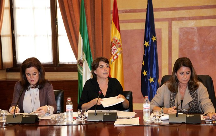 Elena Cortés, hoy en comisión parlamentaria.