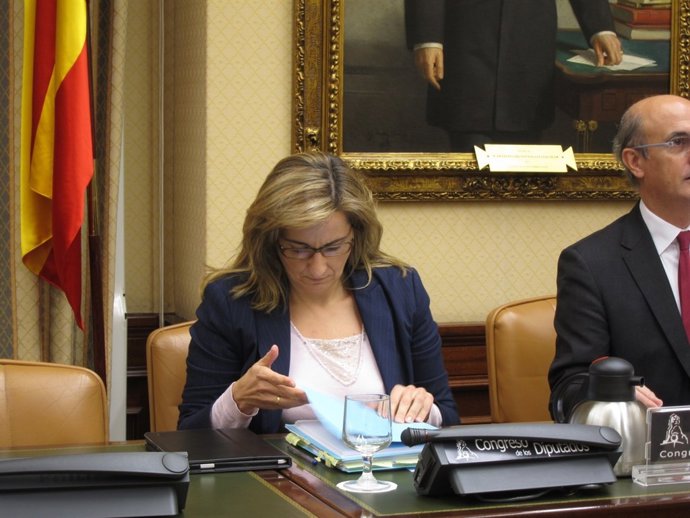 Rosa Arnaldo, presidenta de la CIAIAC