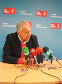 Méndez, "a disposición" del PSdeG como "todos" sus diputados para "hacer la mejor distribución posible" de los cargos