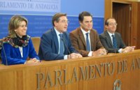 PP-A pide la dimisión de Griñán, Chaves, Aguayo, Ávila y 12 excargos de la Junta en su dictamen sobre el caso ERE