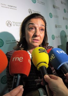 La Secretaria De Estado De Investigación, Carmen Vela, Atiende A Los Periodistas