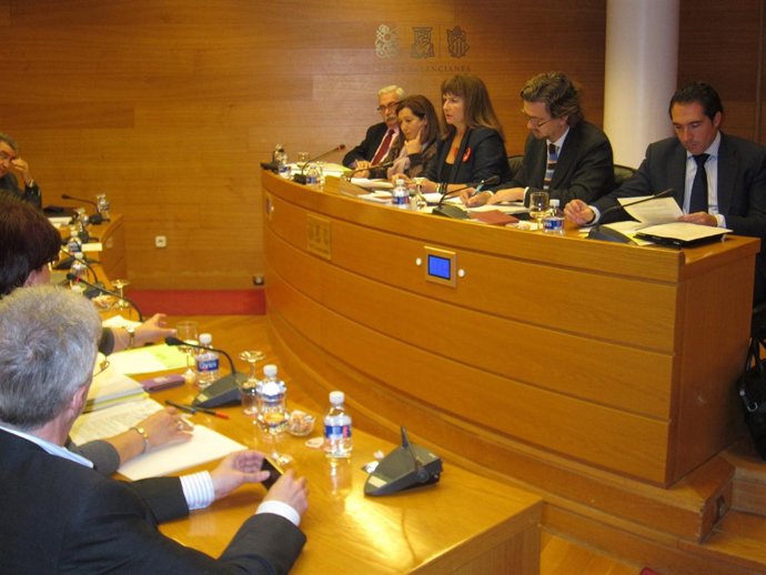 Hernández Durante Su Comparecencia De Presupuestos En Las Corts