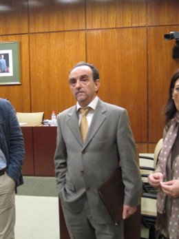 El consejero de Turismo y Comercio, Rafael Rodríguez, hoy en el Parlamento.