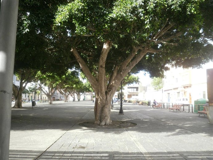 Parque Franchy y Roca en Telde