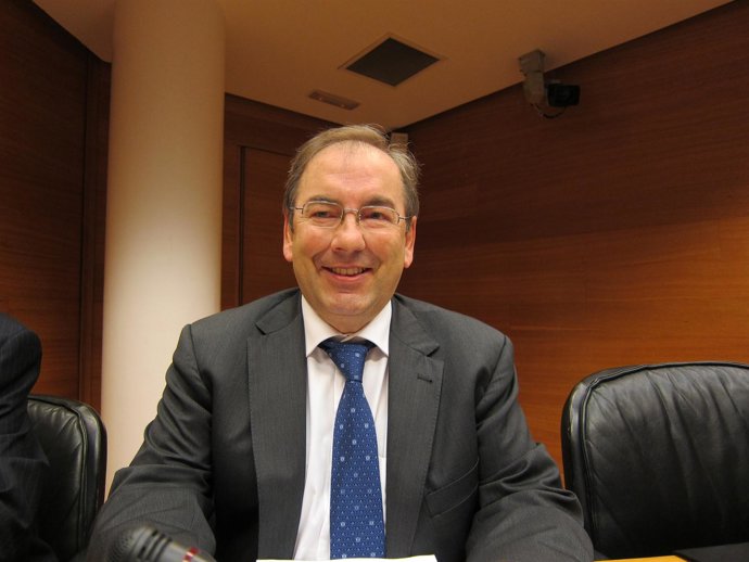 El Conseller Rosado En Su Comparecencia En Las Corts