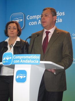 José Luis Sanz, secretario general del PP-A