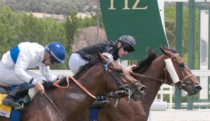 Fortun Gana En El Turf De La Zarzuela