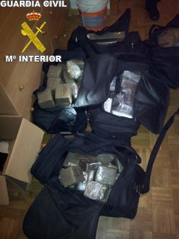 Intervención hachis