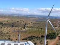 PSOE reprocha a Gobierno que no recurra la nulidad de concurso eólico y sí despidos improcedentes en Consejo de Juventud