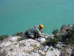 Empleado De Vaersa Realiza Labores De Mantenimiento De La Especie Silene D'ifac.