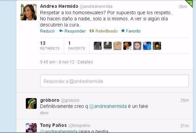 Captura de pantalla del Twitter de Andrea Hermida
