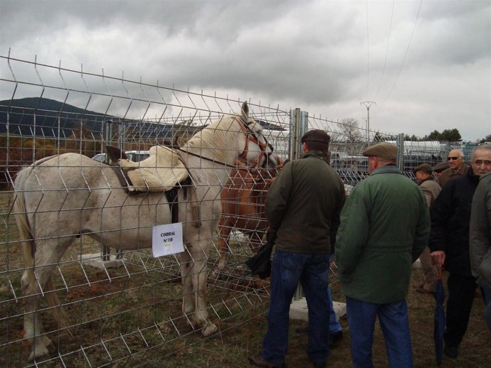 Feria de Ganado de 2011