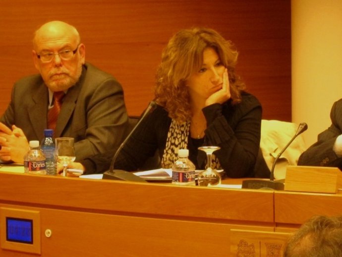 Exconsejera De La CAM Pilar Aurora Cáceres En La Comisión De Las Corts