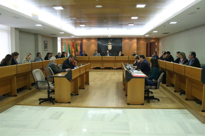 Pleno de la corporación local de El Ejido