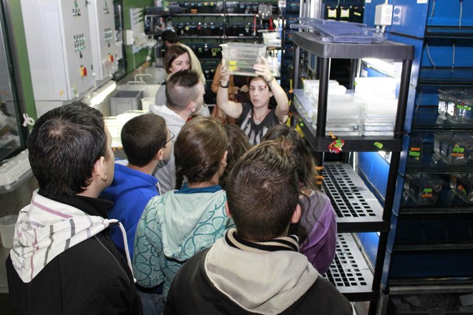 Actividad en el marco de la Semana de la Ciencia