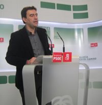 PSOE-A asegura que sus cargos públicos "cumplirán con su obligación", pero también acudirán a las manifestaciones