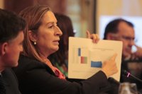 Fomento prevé aprobar definitivamente en abril su plan de infraestructuras