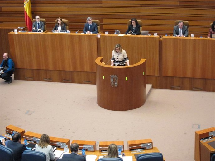La consejera de Hacienda, Pilar del Olmo, en las Cortes regionales