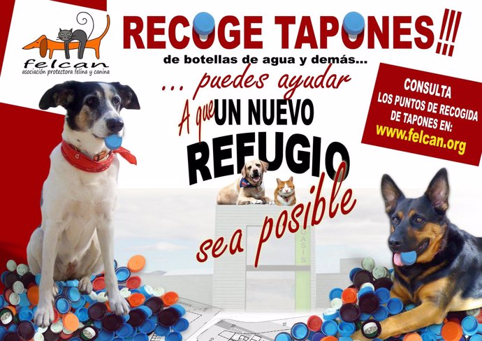 Campaña De Tapones Solidarios