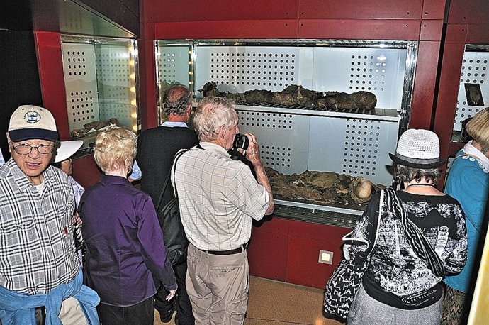 Cruceristas visitan el Museo de la Naturaleza y el Hombre