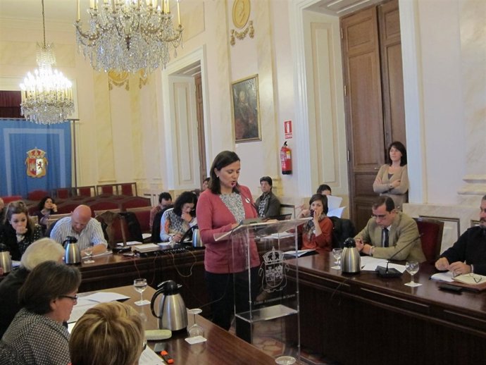 Periodistas Leyendo En El Pleno Del Ayuntamiento El Manifiesto De La FAPE